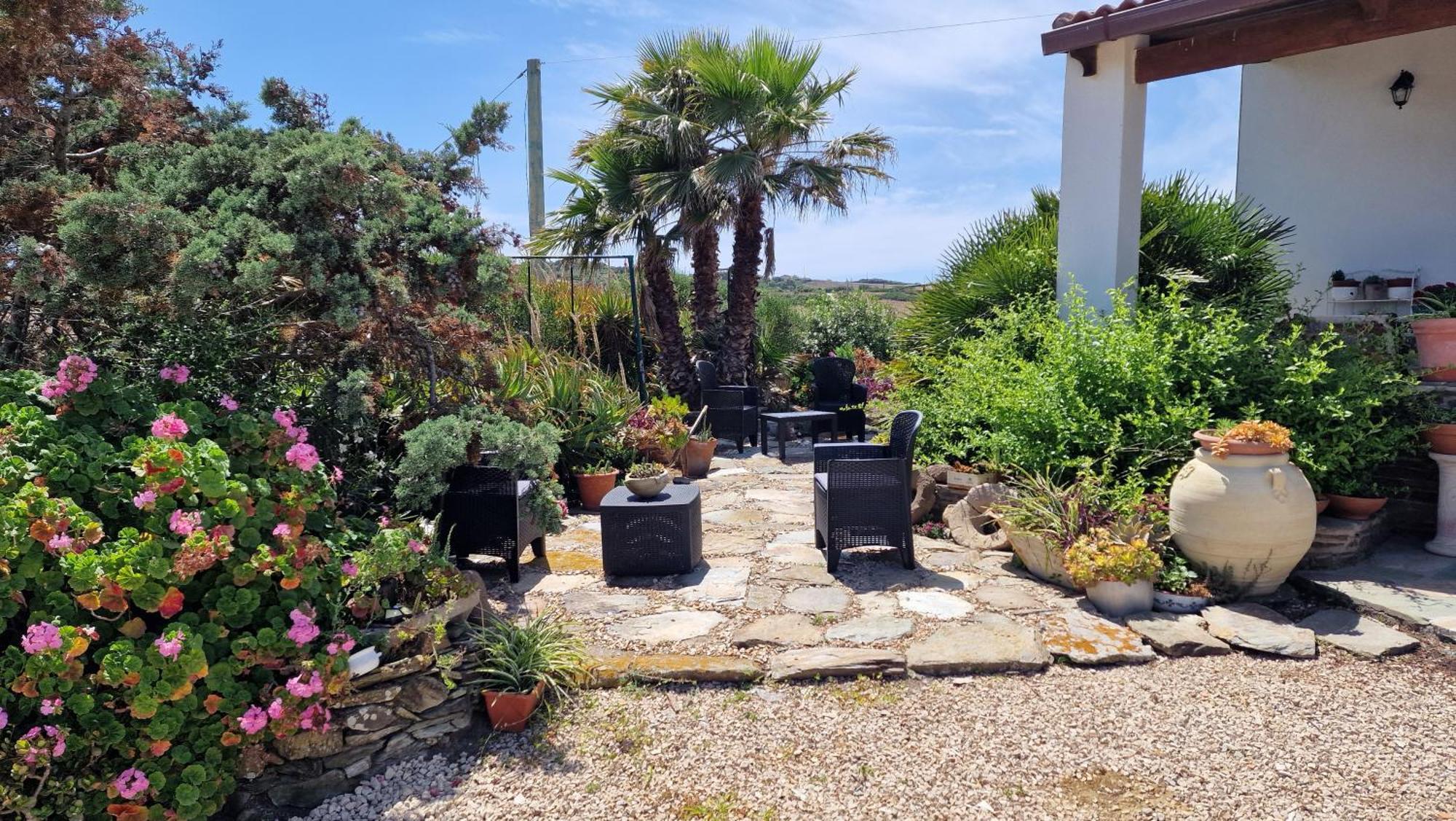B&B Sa Corte Biancareddu Buitenkant foto